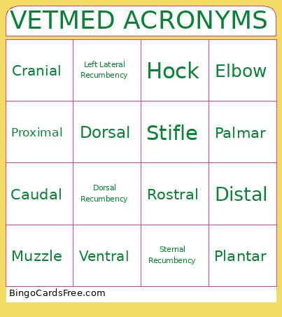 Vet Science Terms Bingo Card