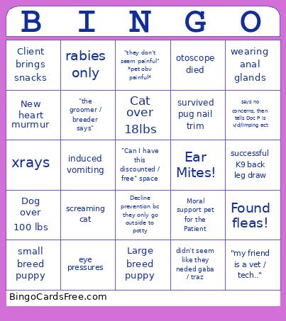Vet tech bingo