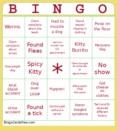 Veterinary Bingo Card 2