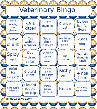 Veterinary Bingo Card