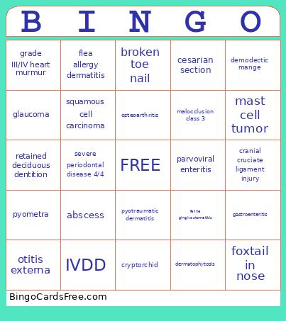 Veterinary Summer Bingo Card