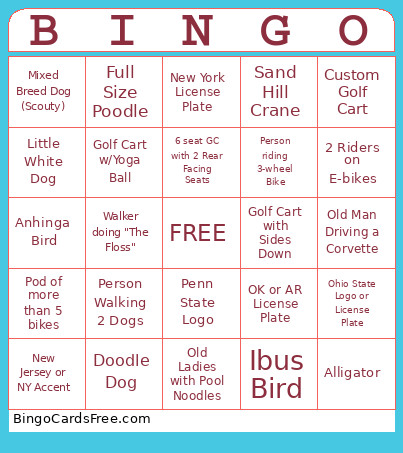Villages Bingo Card
