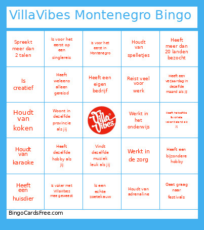 VillaVibes Montenegro Bingo Card