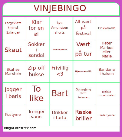 VINJE Bingo Card