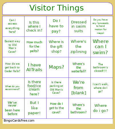 Visitor Things Bingo Card