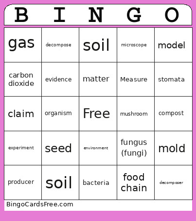 Vocab Bingo Card