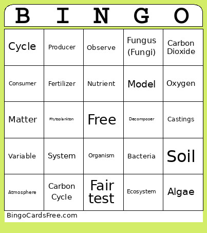 Vocab Bingo Card
