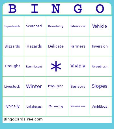 Vocabulary Bingo Card