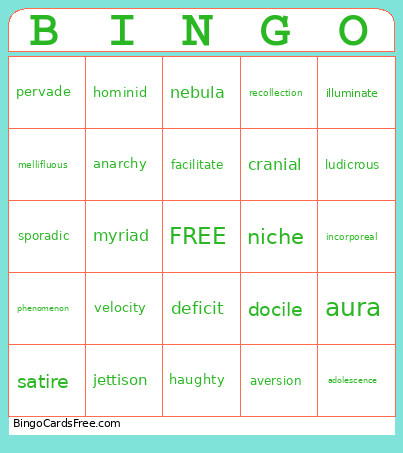 Vocabulary Bingo Card