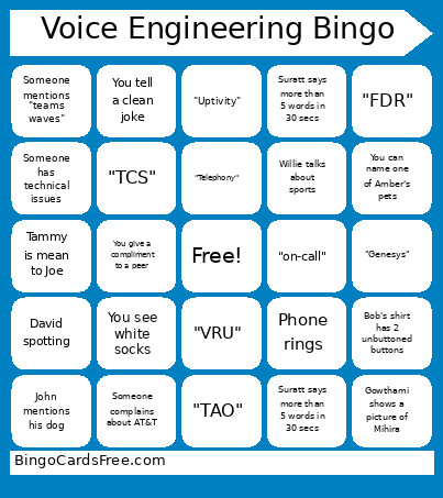 Voice Engineering Bingo Card