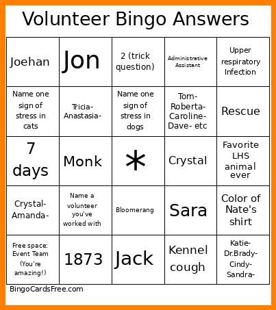 Volunteer Answers Bingo Card
