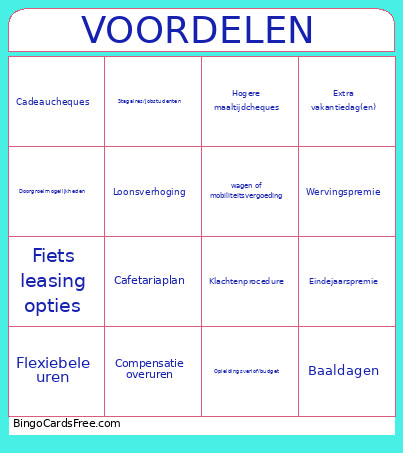 VOORDELEN Bingo Card
