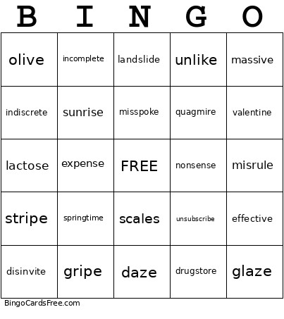 Vowel Consonant-e Bingo Card