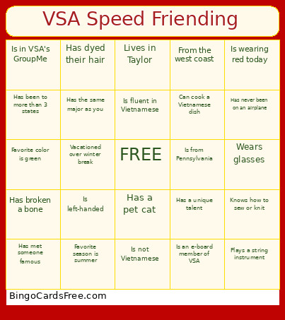 VSA Speed Friending Bingo Card