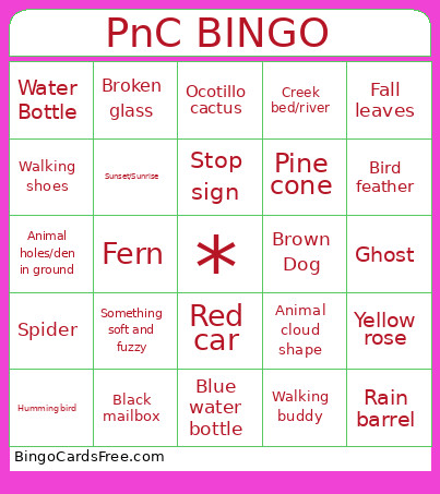 Walking Scavenger Hunt Bingo Card