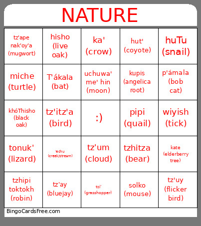Wappo /translations Bingo Card