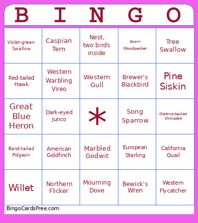 Western Birds Bingo Card