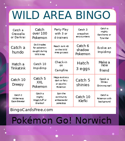 WILD AREA Bingo Card