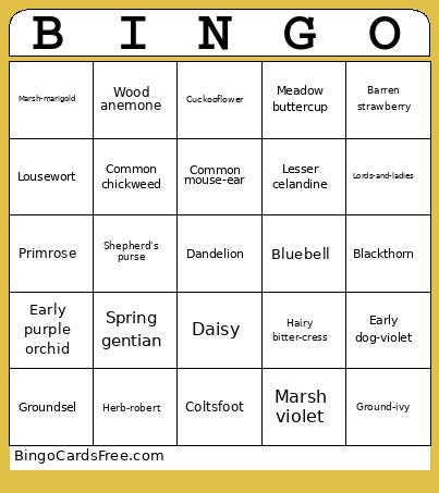 Wildflowers Bingo Card