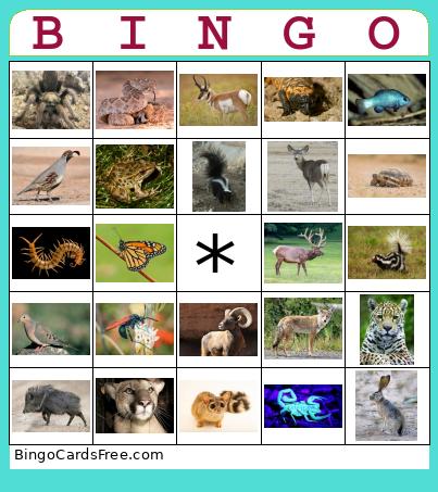 Wildli Bingo
