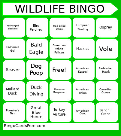Wildlife Bingo Card