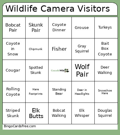 Wildlife Camera Visitors Bingo Card