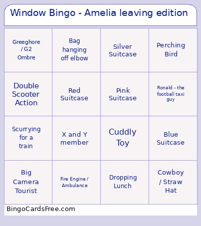 Window - Amelia Leaving Edition Bingo Card