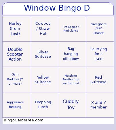 Window D Bingo Card