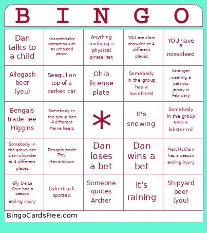 Winter in Maine: What a Dumb Idea Bingo