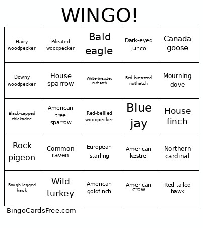Winter Midwestern Birds Bingo Card