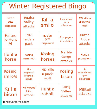 Winter Registered Bingo Card