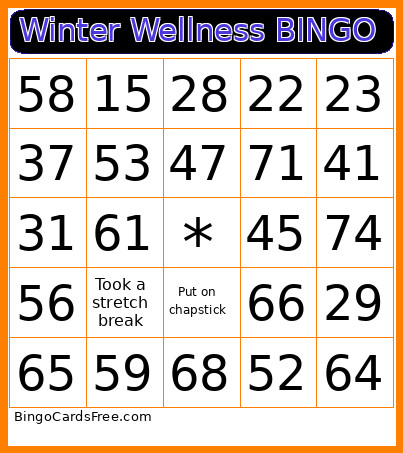 Winter Wellness Bingo Card