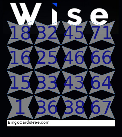 Wise Bingo Card