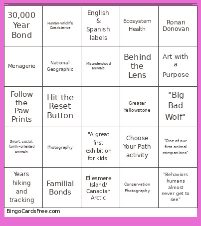 Wolves VS Training Bingo Card