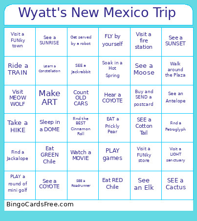 Wyatt's New Mexico Trip Bingo Card 2