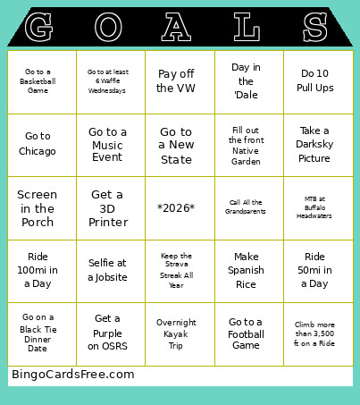 Year Goal Bingo Card