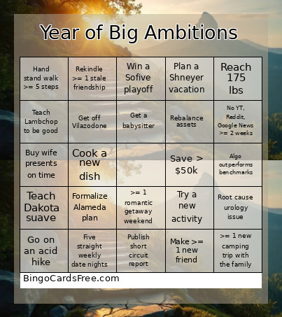 Year Of Big Ambitions Bingo Card