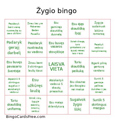 Žygio Bingo Card
