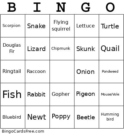 Yosemite Bingo Card