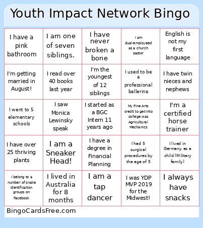 Youth Impact Network Bingo Card