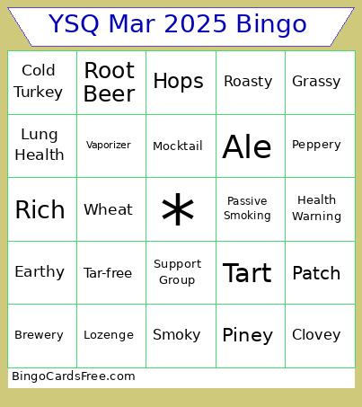 YSQ Mar 2025 Bingo Card