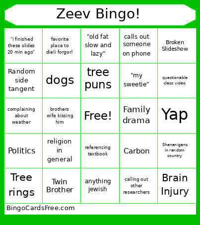 Zeev ! Bingo Card