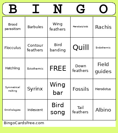 Zoology Bingo Card