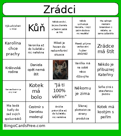Zrádci Bingo Card