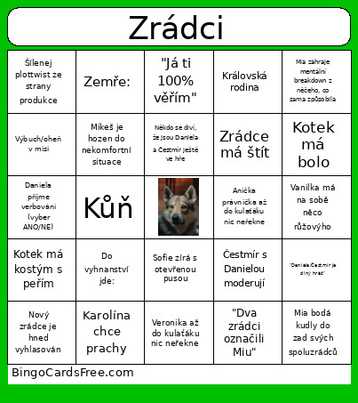 Zrádci Bingo Card